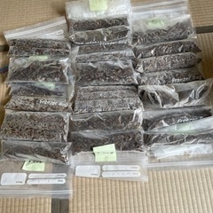 冷凍コオロギ4キロ（爬虫類、亀などの餌に）の画像