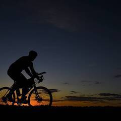 ナイトサイクリング　葛飾区水元公園　２０時～の画像