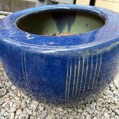 １つ５００円　睡蓮鉢に　火鉢　メダカなどにの画像