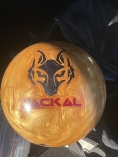 ゴールデンjackal15