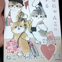 本日午前中か正午に新宿で会いませんか？ - 新宿区