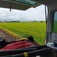 急募：7月21日その日だけのお仕事1回きり。ドローン監視員(唐津)の画像