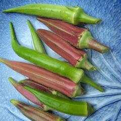 野菜セット(無農薬野菜)の画像