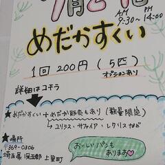めだか すくい   パン工房