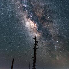 『大台ヶ原の星空観に行きませんか☆彡』 - 大阪市