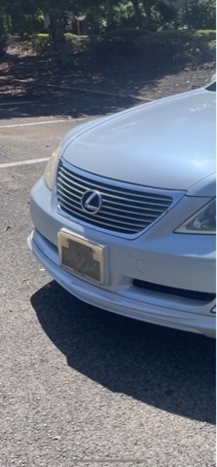 ウィザード ナンバーカバー