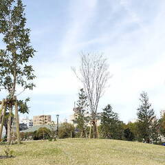 ■正社員募集■お庭のお手入れや公園づくりなど造園の仕事｜未経験OK！の画像