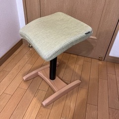 バランスシナジーの中古が安い！激安で譲ります・無料であげます