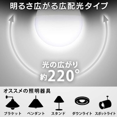 LED電球 E17 昼光色 アイリスオーヤマの画像