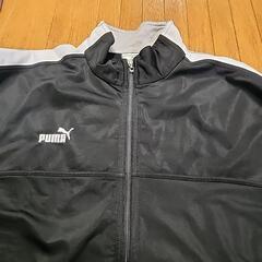 PUMA　プーマジャージセットアップ　プージャの画像