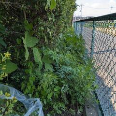 雑草お任せ下さい！