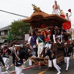 だんじり祭り一緒に見に行ってくれる人😆