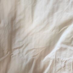 グースダウン冬布団 140x190　7月23日までの画像