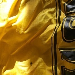 ポケモン　バッグの画像