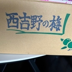 南高梅　２.5キロの画像