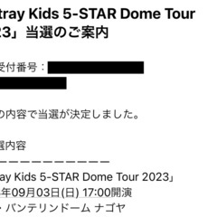 straykids ドームツアー ナゴヤ9/3同行者募集 - 枚方市