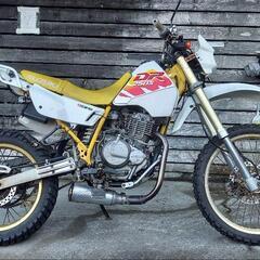 スズキ  DR250s  決まりました