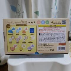 つぶらな瞳の水族館　つみきの画像