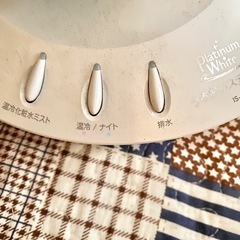 フェイスイオンスチーマの画像