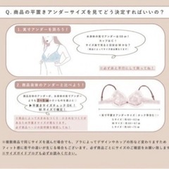 【単品販売ご相談下さい】ブランド下着 フェリチュール 極ふわブラ　8着の画像