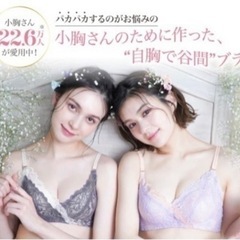 【単品販売ご相談下さい】ブランド下着 フェリチュール 極ふわブラ　8着