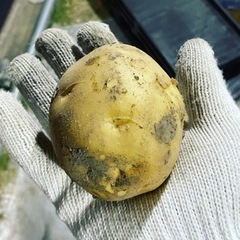 じゃがいも🥔