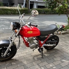 【HONDA エイプ50】AC16 4スト　大人気　赤フレーム　...