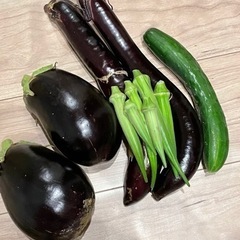 夏野菜