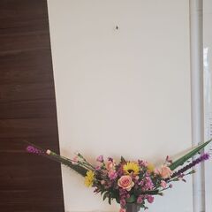 基本型レッスン😊💐の画像