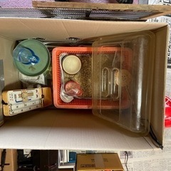 🥚タマゴから🐣ヒヨコを育てて見たい方のお手伝い。！ − 徳島県