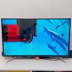 DOSHISHA 40型液晶テレビ