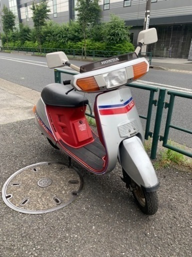 リード50 ❗️なかなかレア❗️