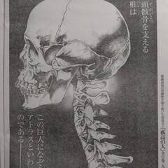 【無料】【漫画・雑誌スクラップ】イノサン（坂本眞一）9話分の画像