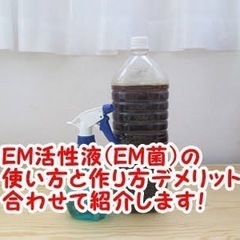 EM菌の無料プレゼントの画像