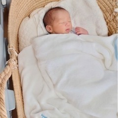 クーハンの画像