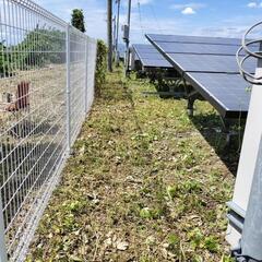 草刈り機持参で作業経験者募集中