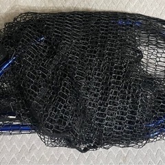 取り引き中　ランディングポール&ネットお譲りします。の画像