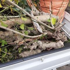 草刈お庭の片付け！ - 岡山市