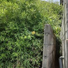 草刈お庭の片付け！