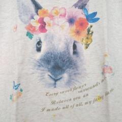 プリントTシャツ うさぎの画像