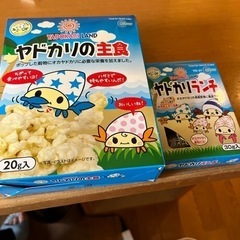 オカヤドカリの餌