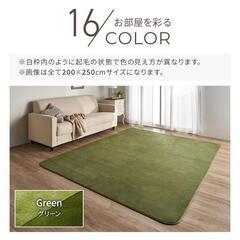 洗える ラグマット グリーン200×300