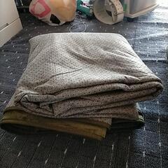 洗える ラグマット グリーン200×300の画像