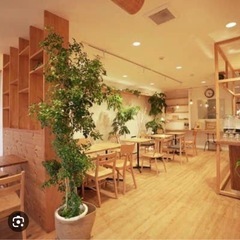カフェでゆっくりお話しませんか？