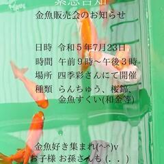 緊急告知