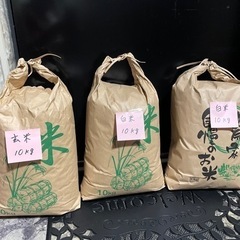お米　《コシヒカリ》