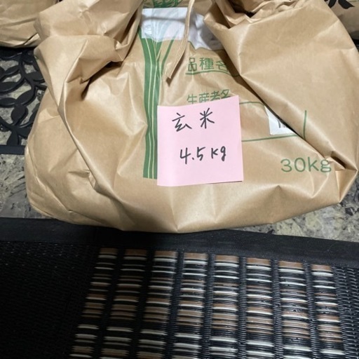 お米　《コシヒカリ》