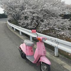 YAMAHAキュート今月にて出品終了！値下げします!の画像