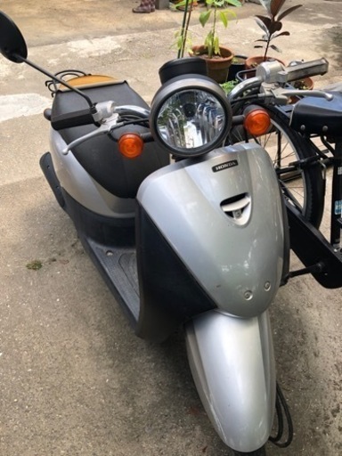 HONDA  TODAY50cc(原付)