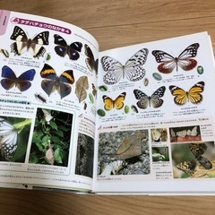 お取引中　学研の図鑑　昆虫の画像